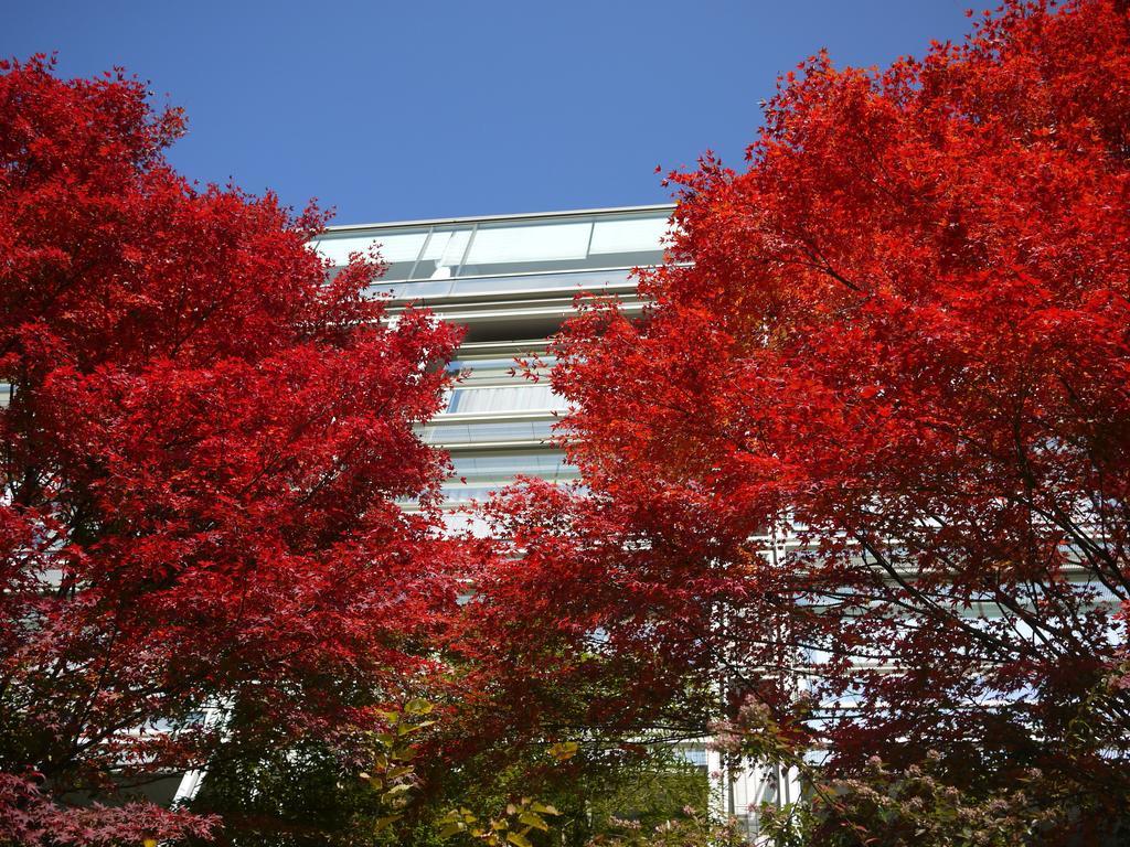 Kikusuitei Higashimurayama Exterior foto